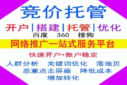 SEM推广实战：案例分析及优化路径